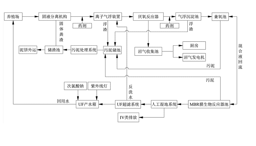 農村養殖戶如何低成本有效處理污水，這兩種做法你應該知道!02